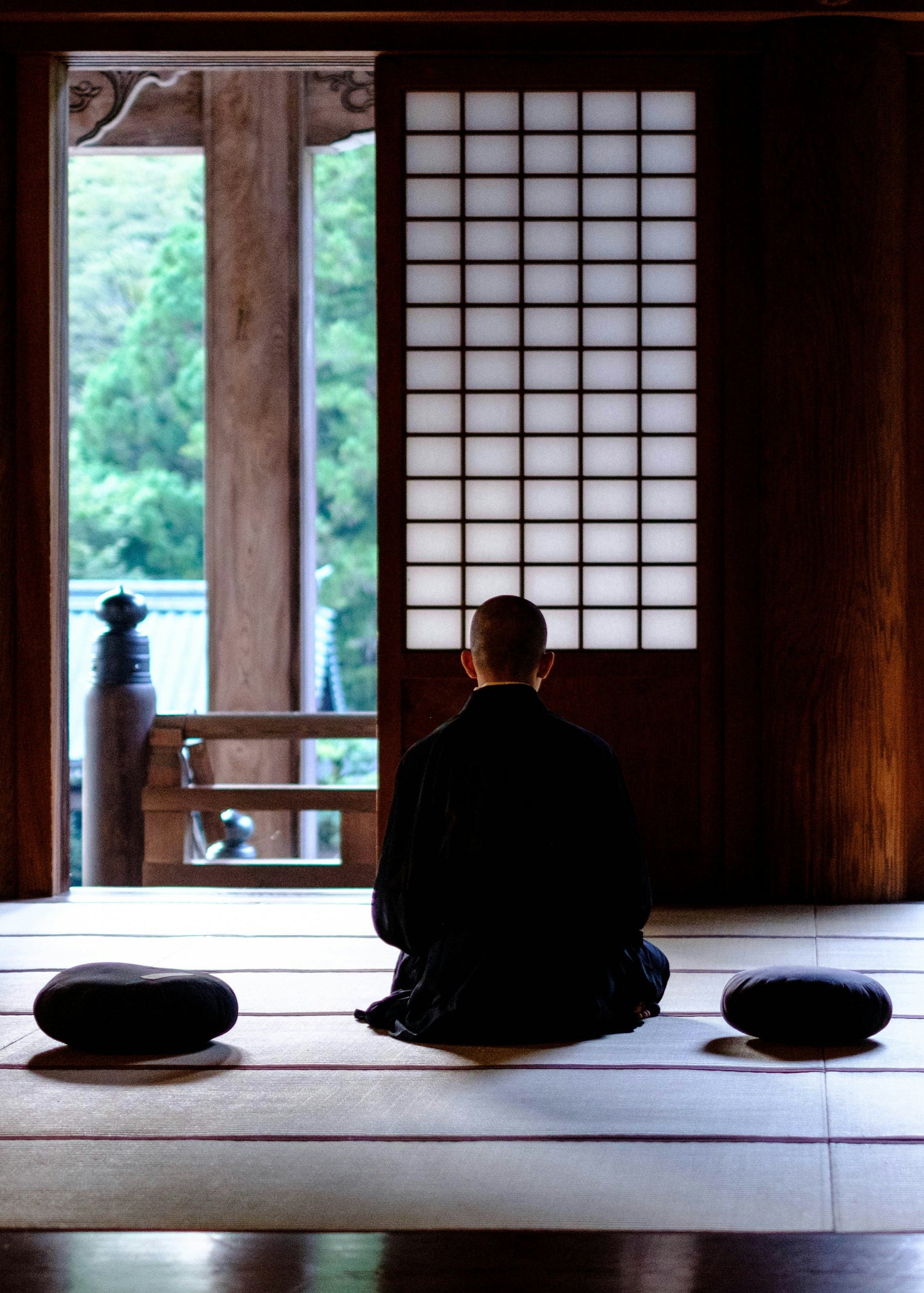 Zen Meditation Experienxes